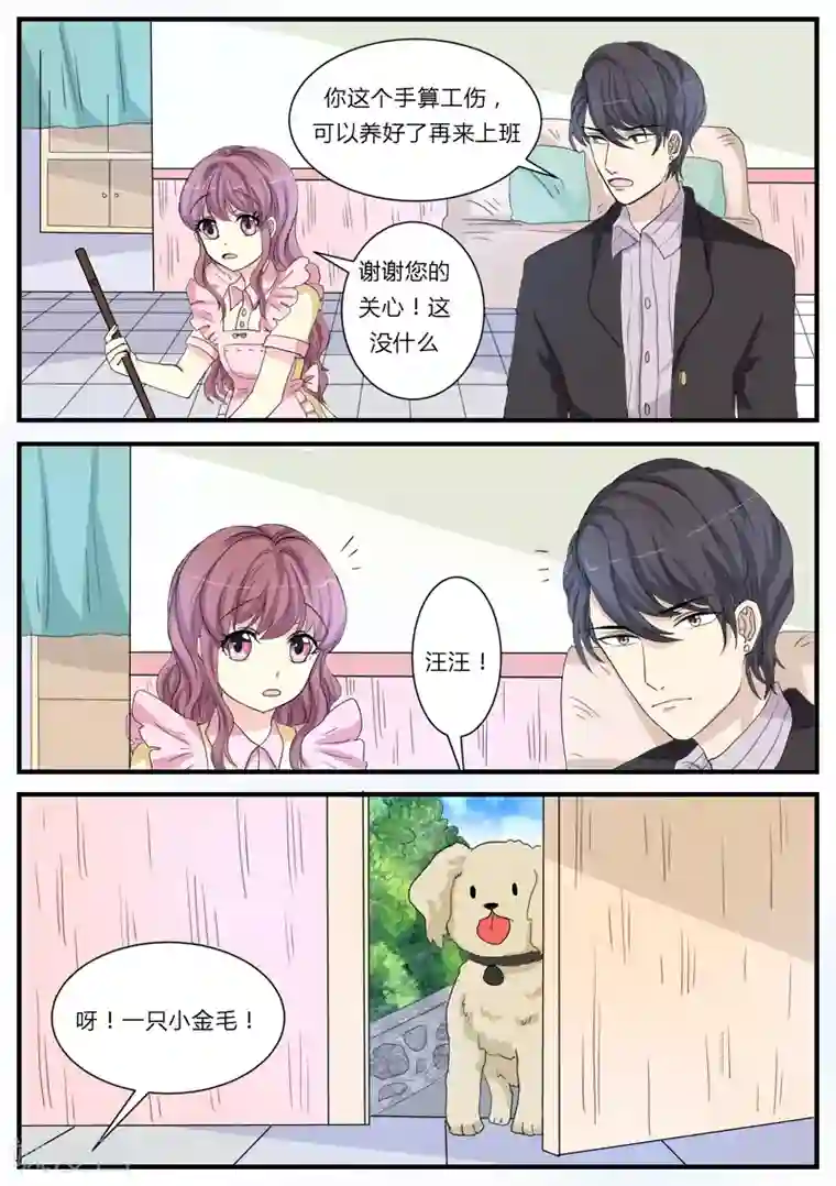 猫奴富少好缠人第12话