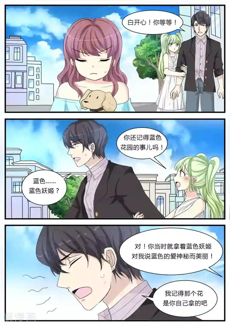 猫奴富少好缠人第12话