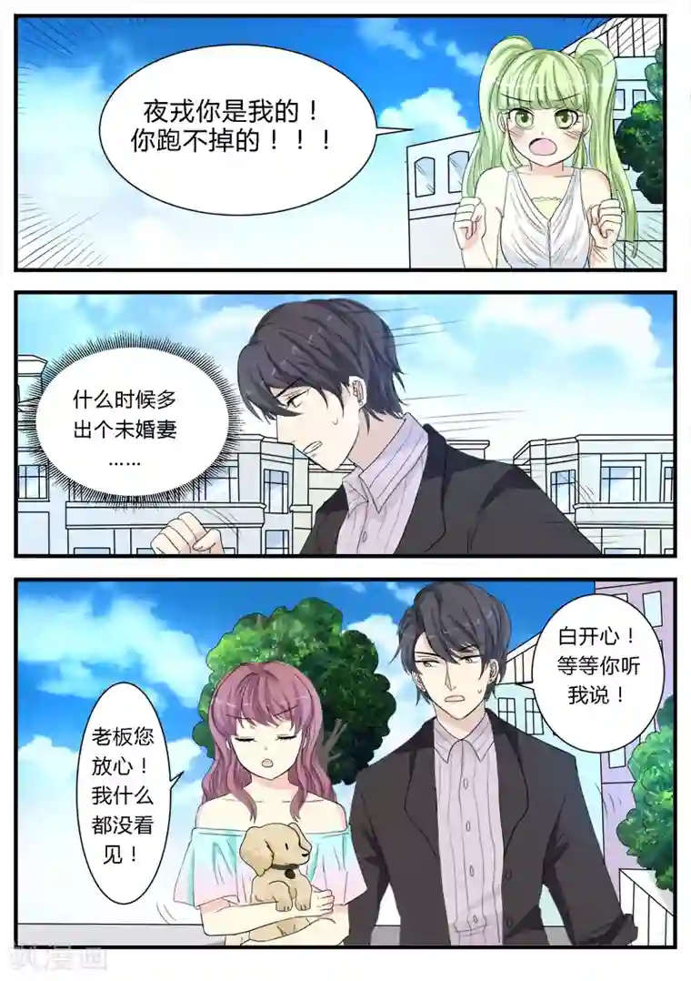 猫奴富少好缠人第12话