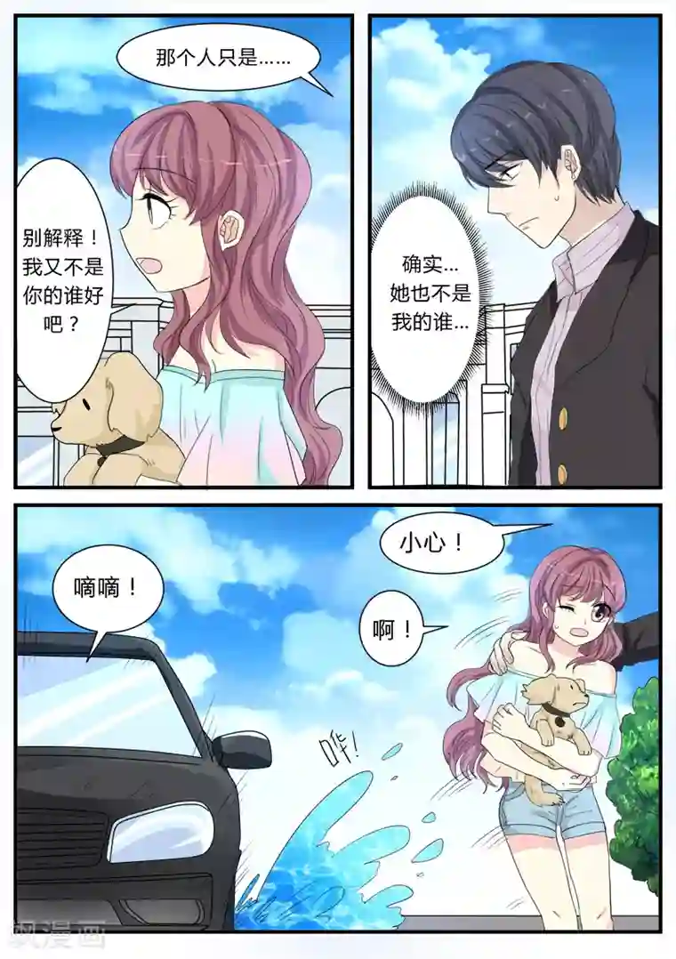 猫奴富少好缠人第12话