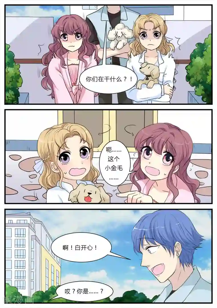 猫奴富少好缠人第13话