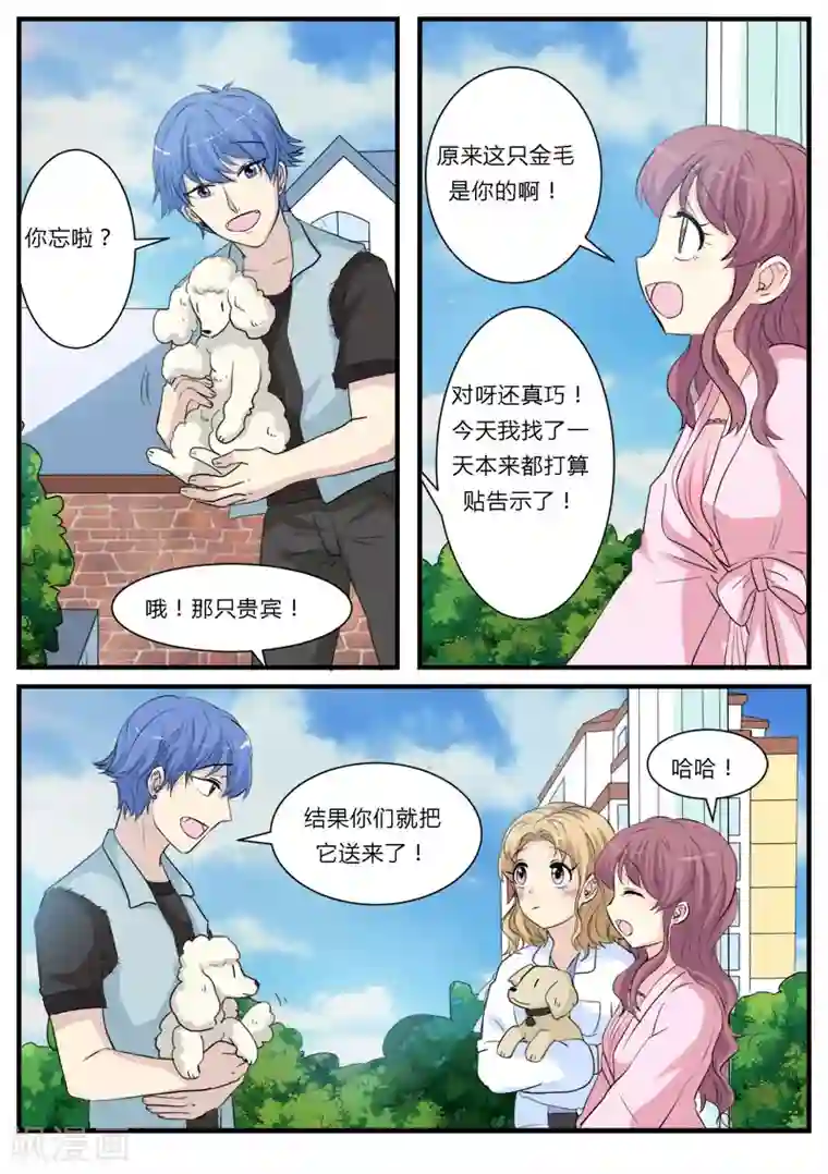 猫奴富少好缠人第13话