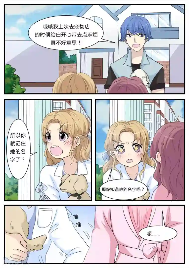 猫奴富少好缠人第13话