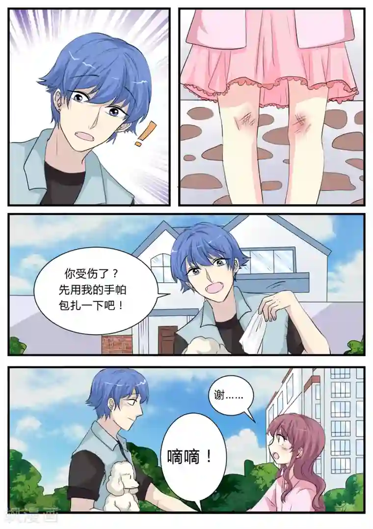 猫奴富少好缠人第13话