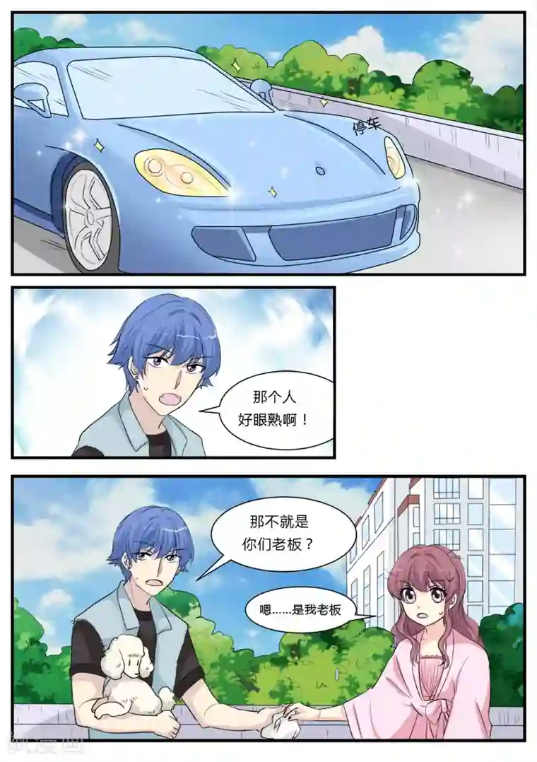 猫奴富少好缠人第13话