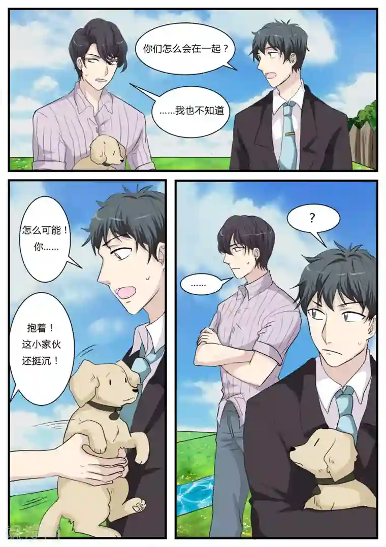 猫奴富少好缠人第13话