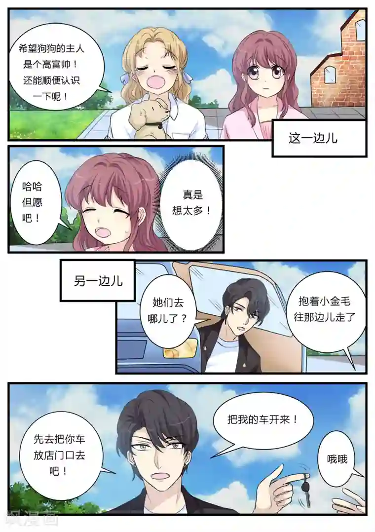 猫奴富少好缠人第13话