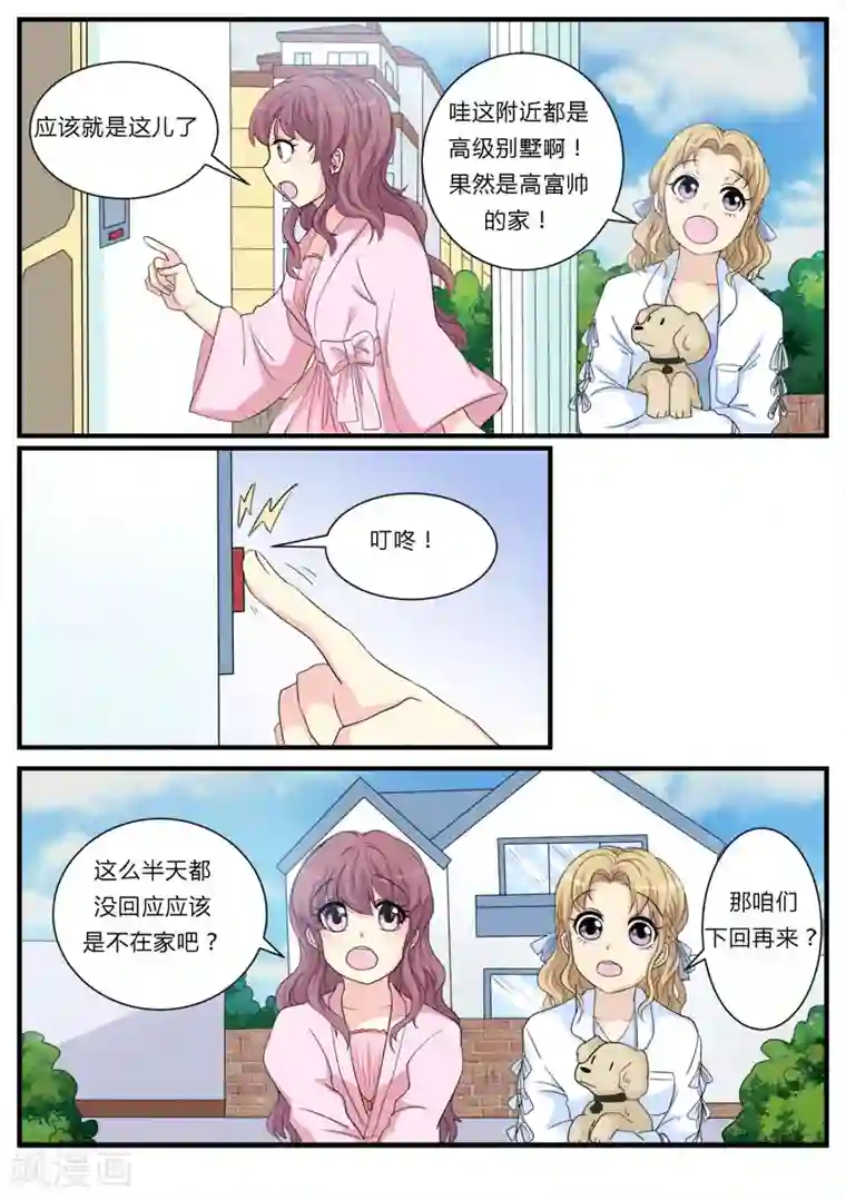 猫奴富少好缠人第13话