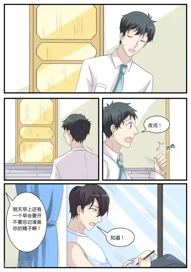 猫奴富少好缠人第17话