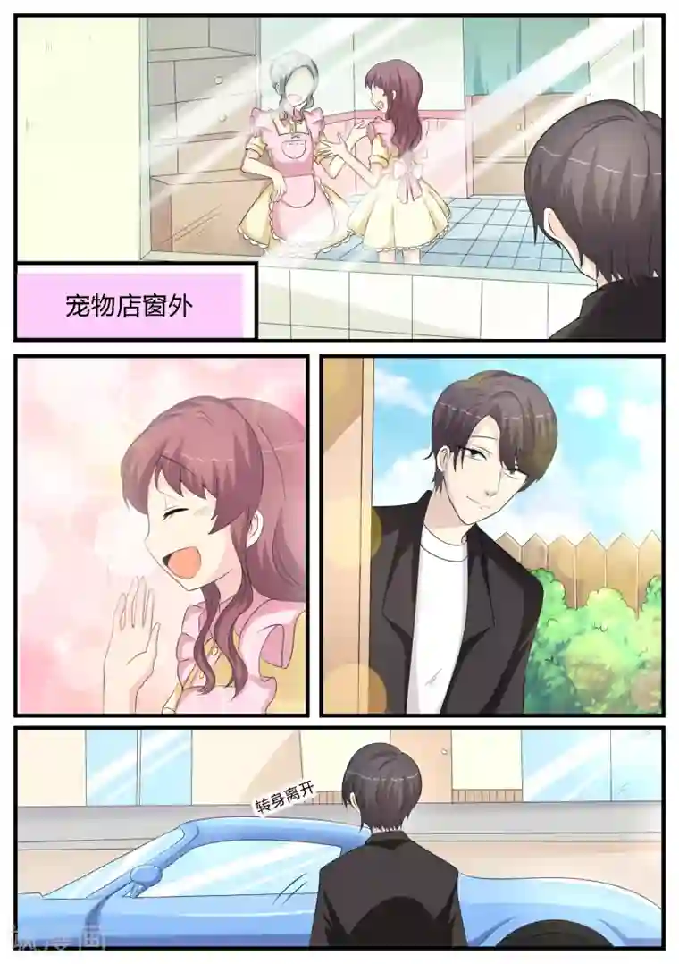 猫奴富少好缠人第18话