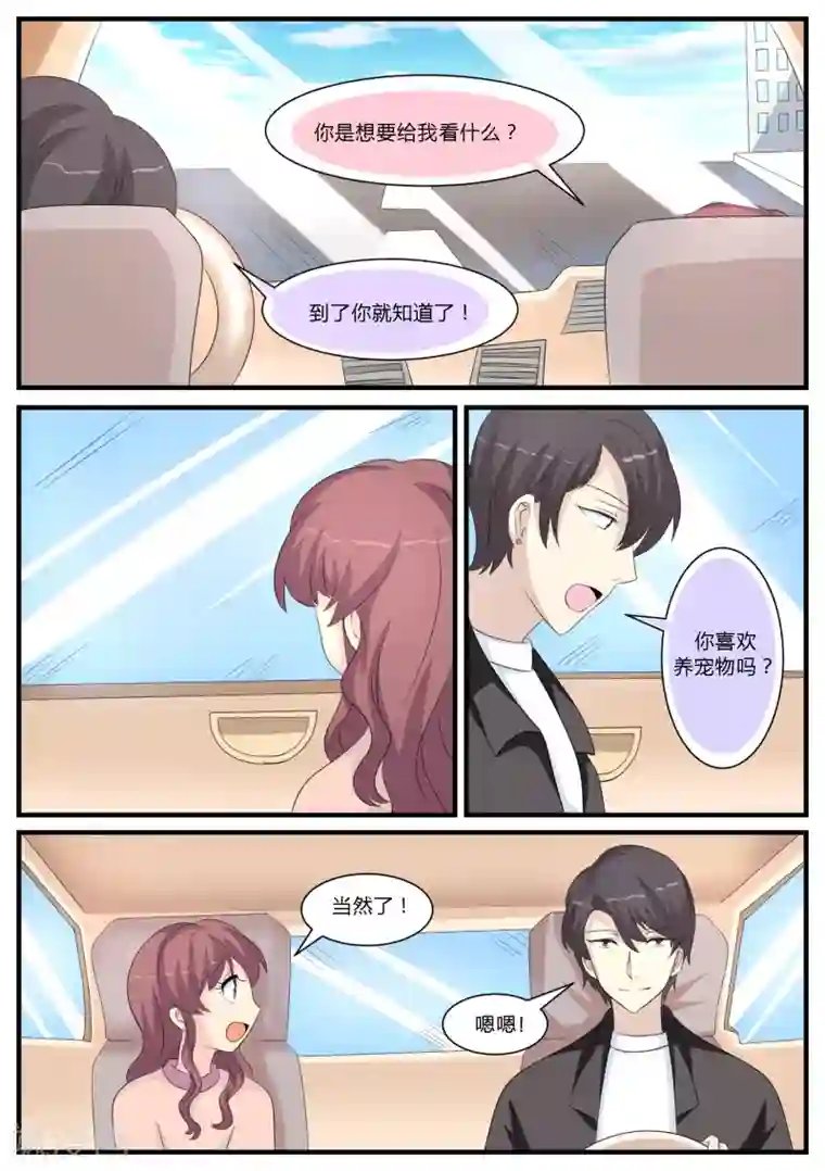 猫奴富少好缠人第18话