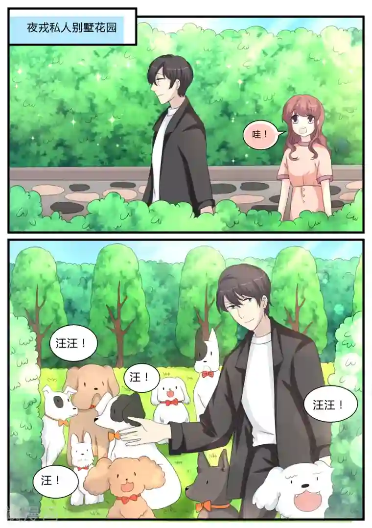 猫奴富少好缠人第18话