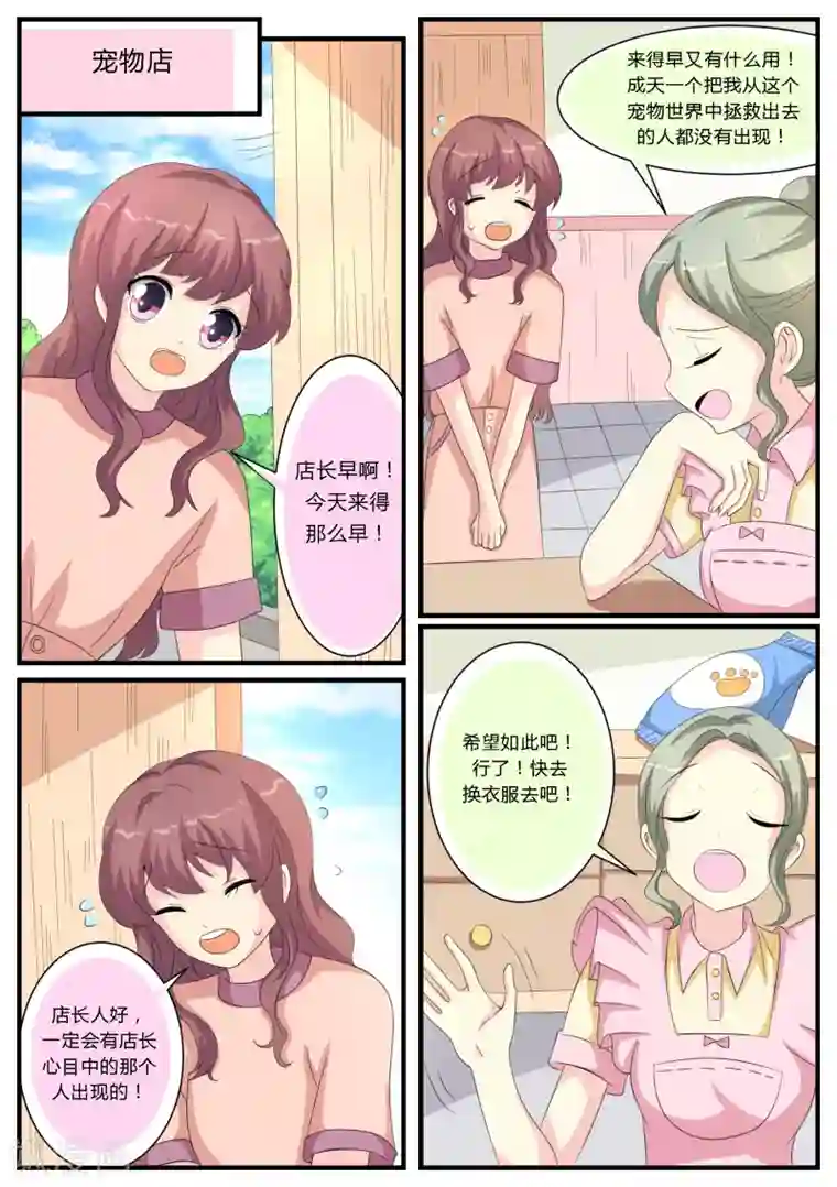 猫奴富少好缠人第18话