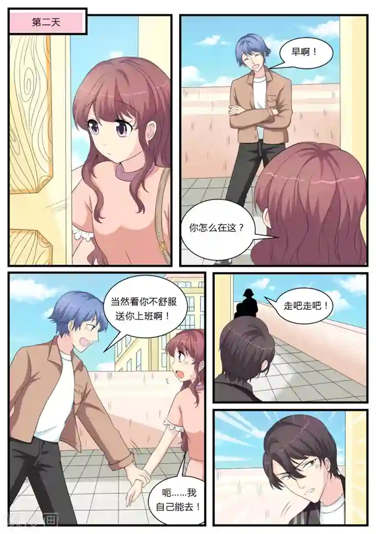 猫奴富少好缠人第21话