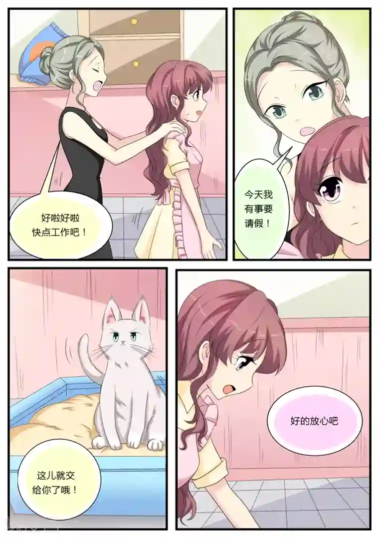 猫奴富少好缠人第22话
