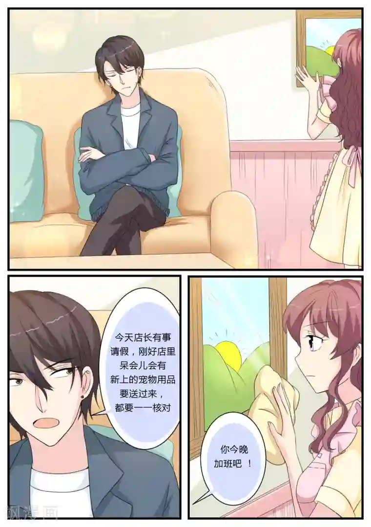 猫奴富少好缠人第22话