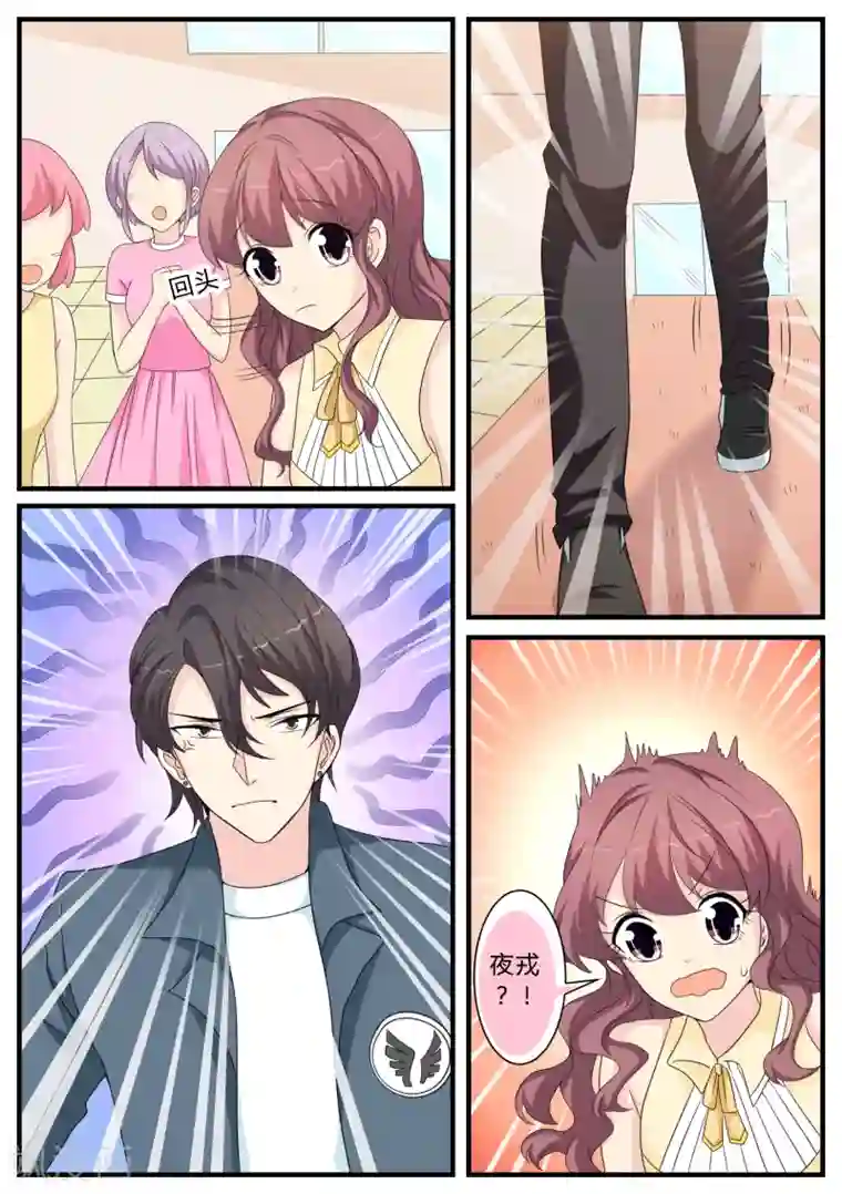 猫奴富少好缠人第23话