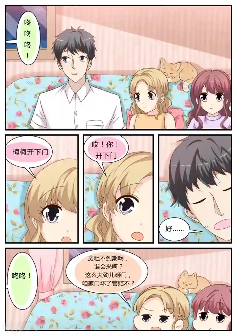 猫奴富少好缠人第24话