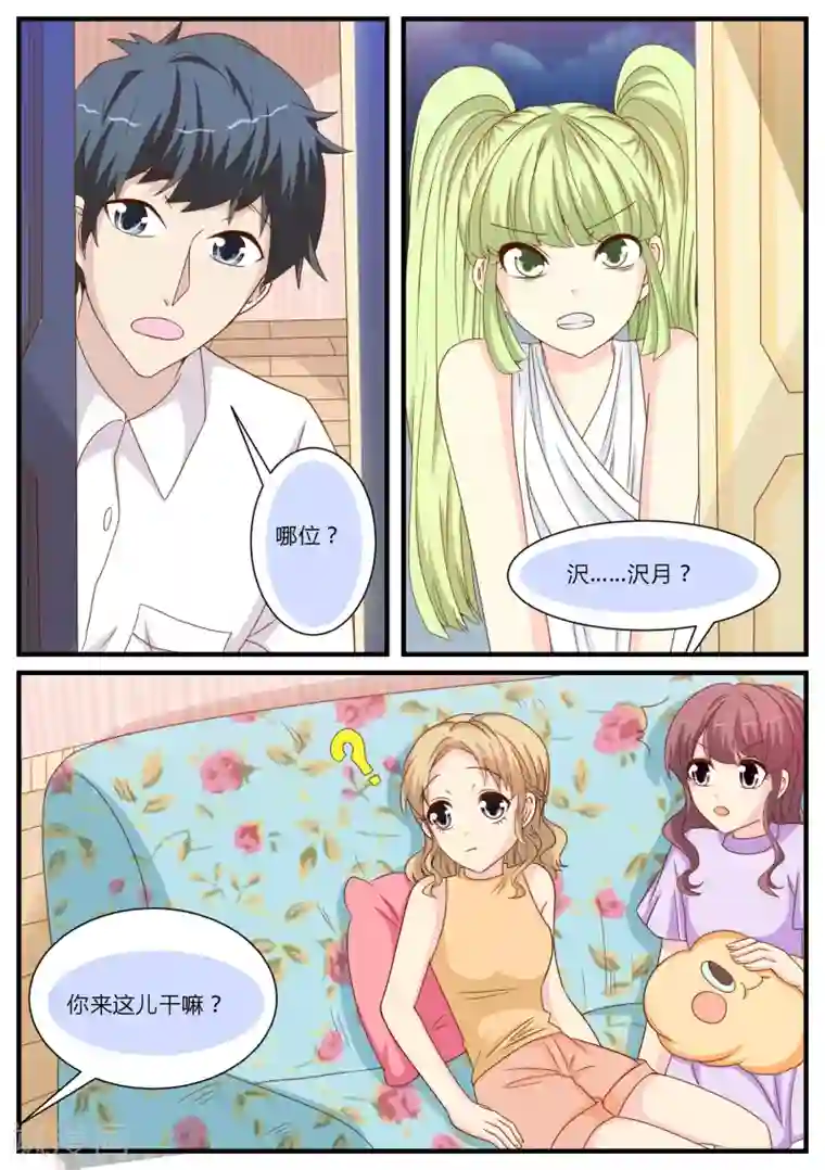 猫奴富少好缠人第24话