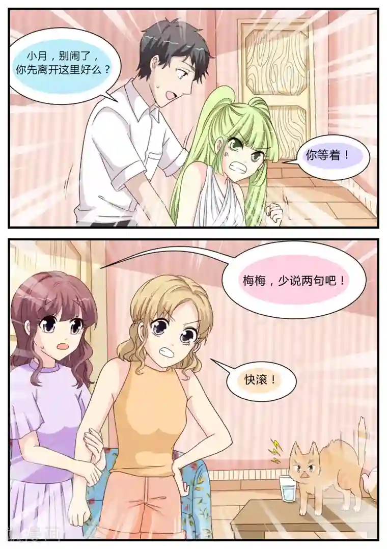 猫奴富少好缠人第24话