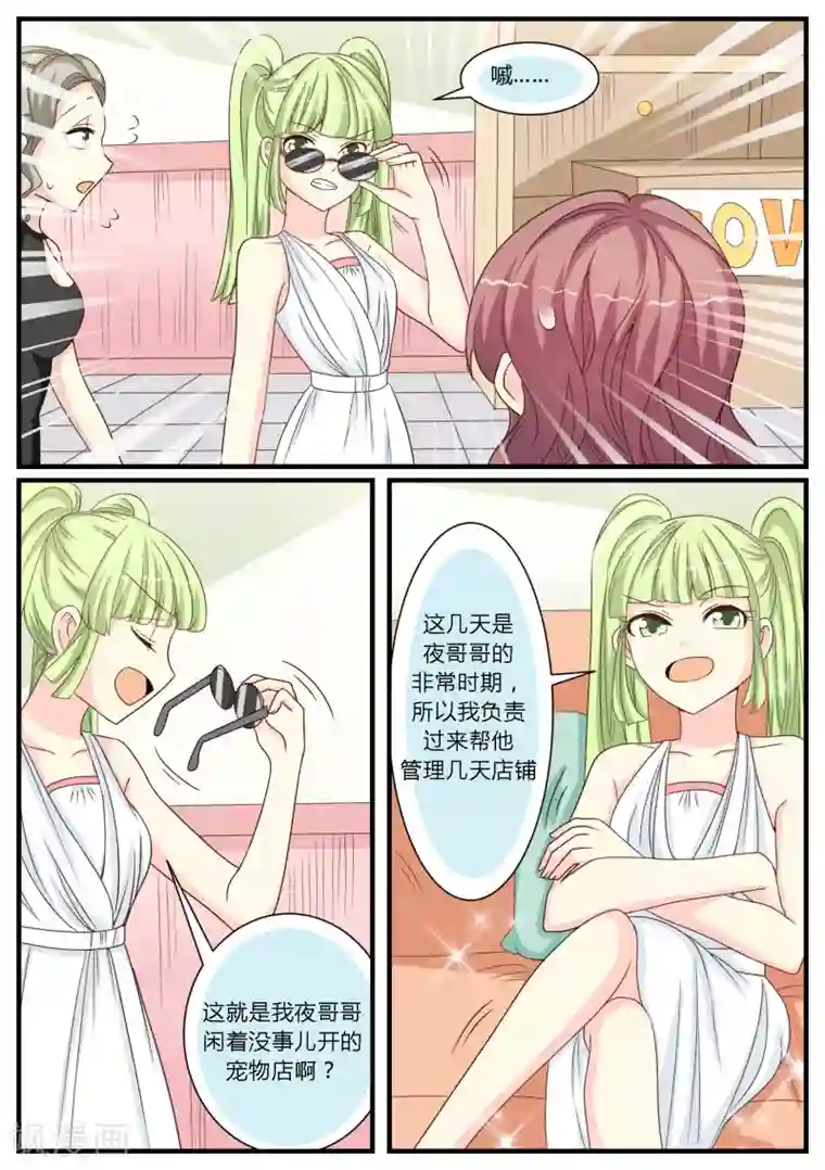 猫奴富少好缠人第25话