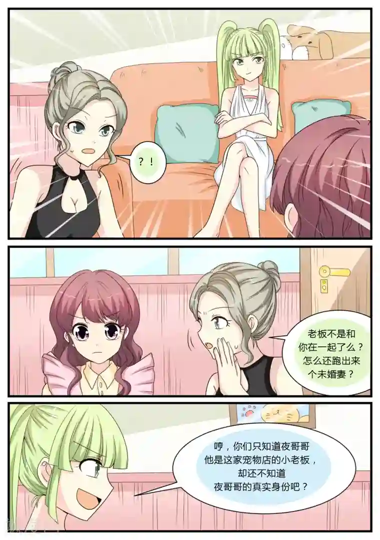 猫奴富少好缠人第25话