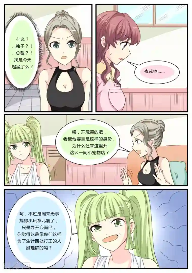 猫奴富少好缠人第25话