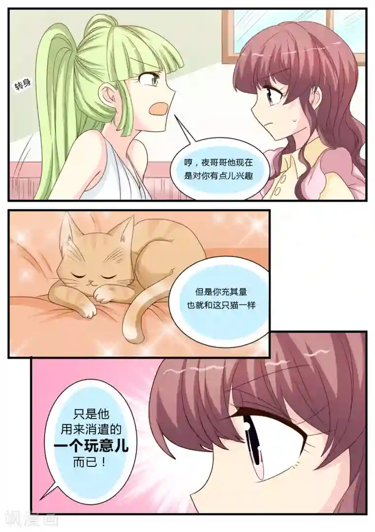 猫奴富少好缠人第25话