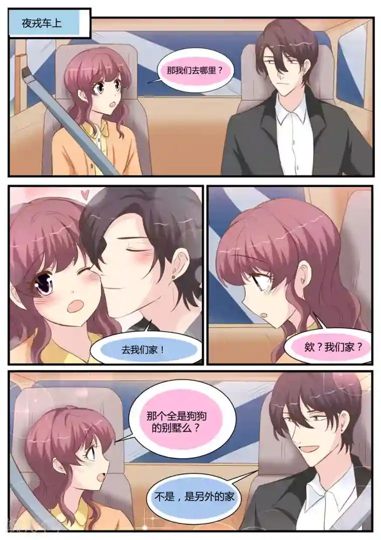 猫奴富少好缠人第28话