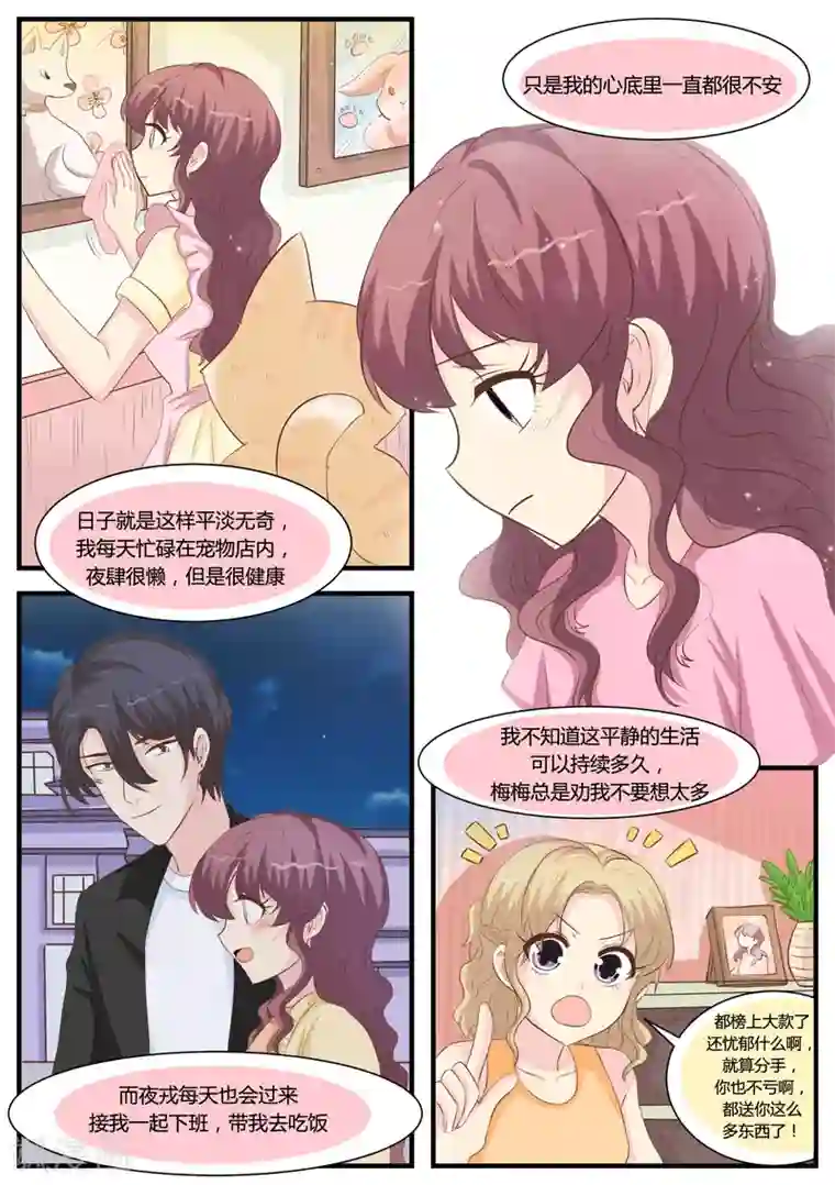 猫奴富少好缠人第31话