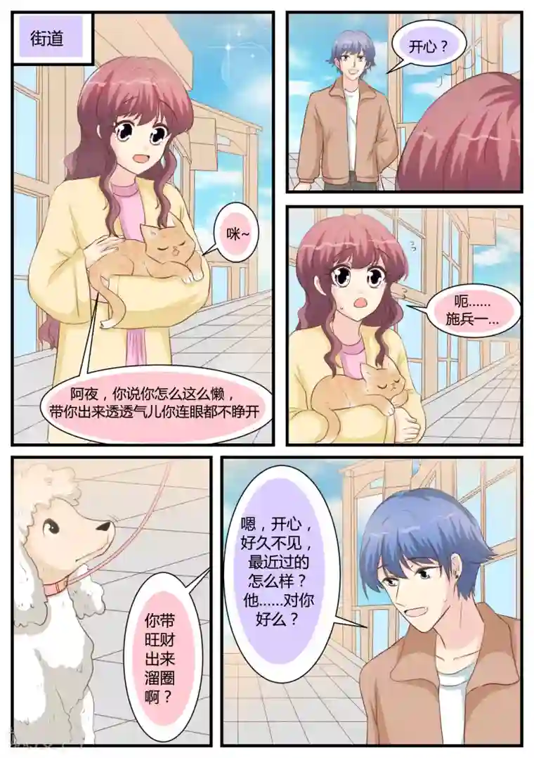 猫奴富少好缠人第31话