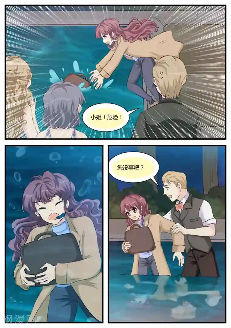 猫奴富少好缠人第32话