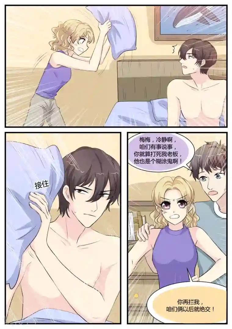 猫奴富少好缠人第33话