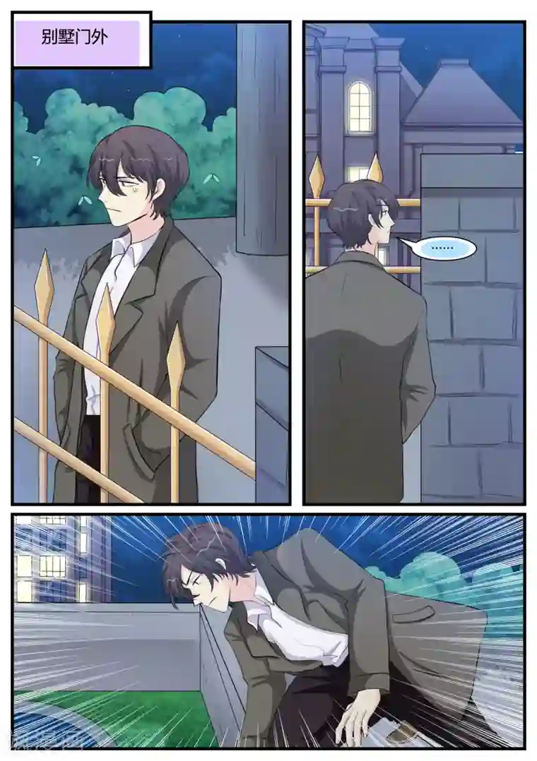 猫奴富少好缠人第34话