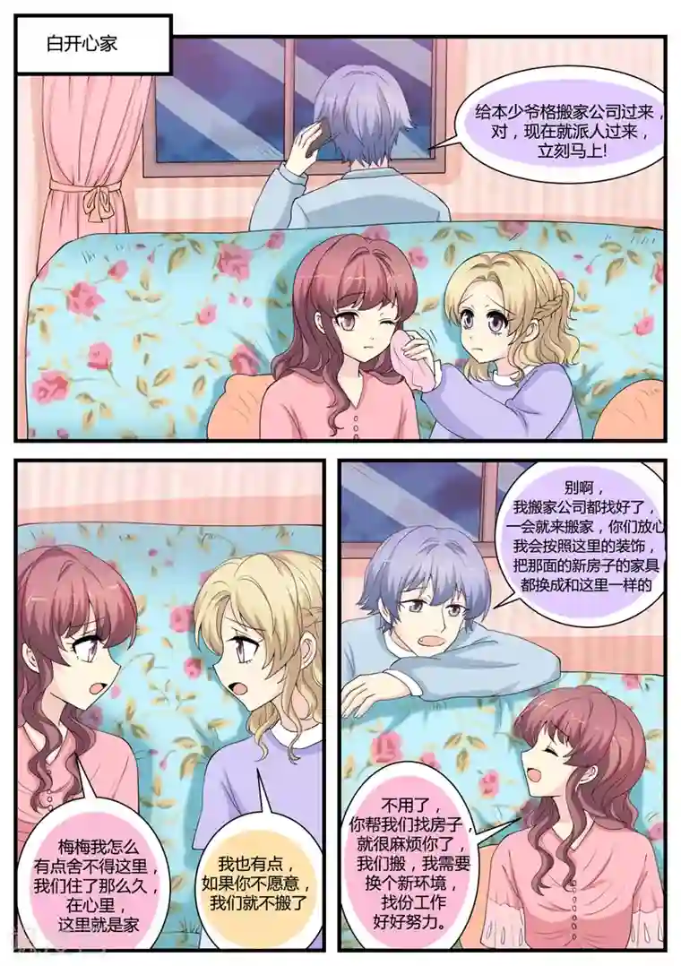 猫奴富少好缠人第35话