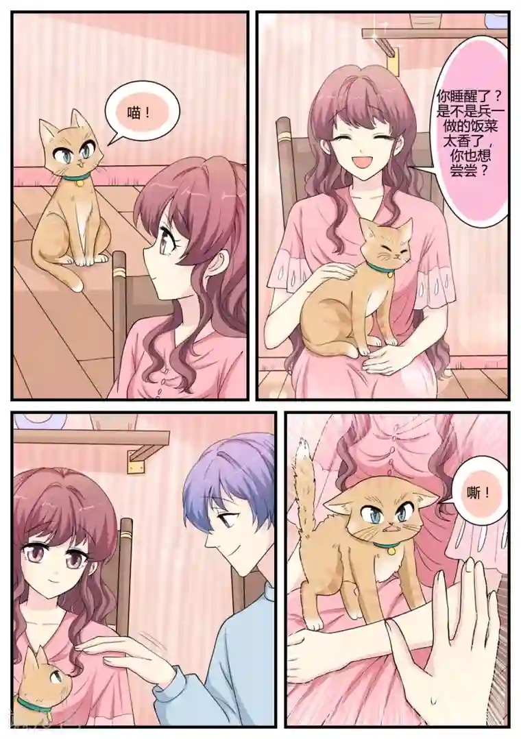 猫奴富少好缠人第35话