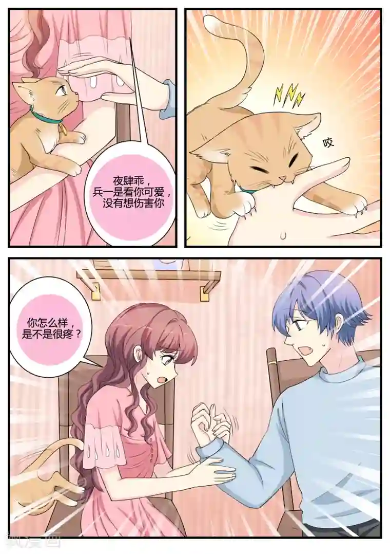 猫奴富少好缠人第35话