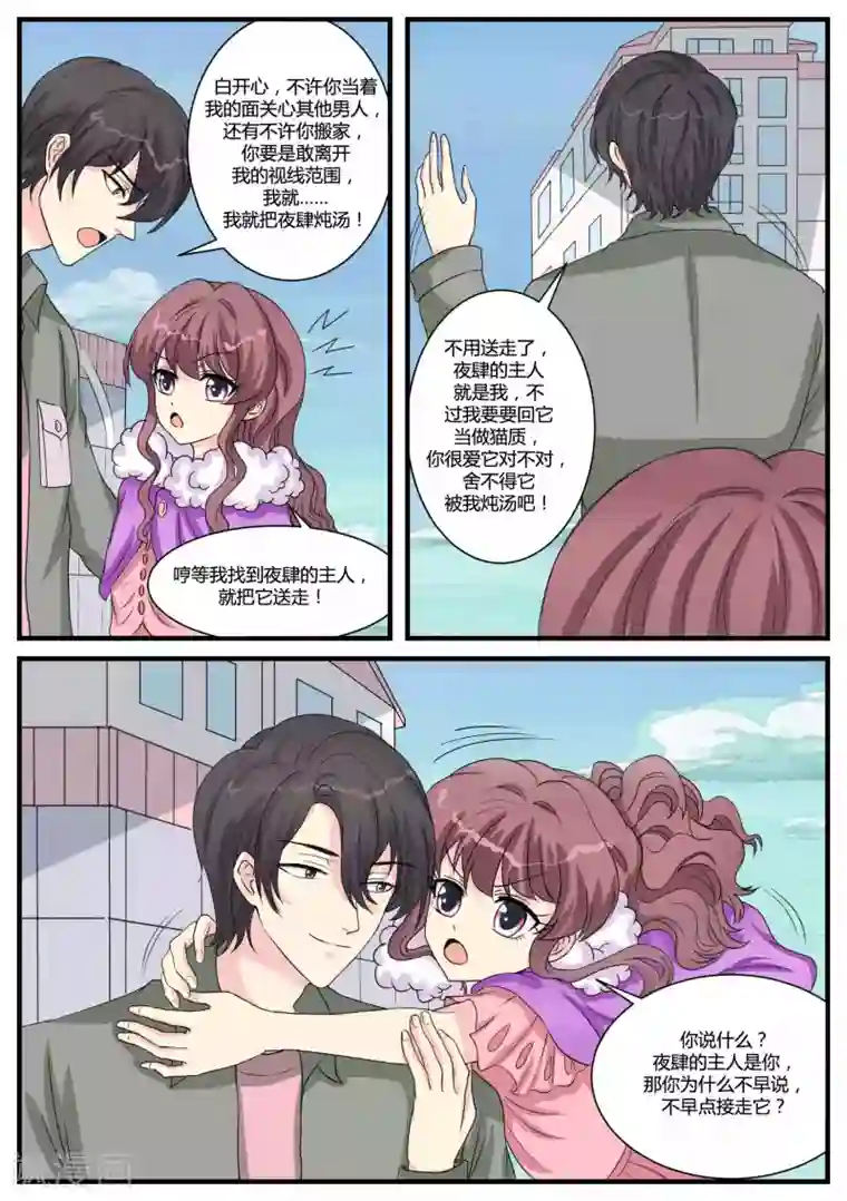 猫奴富少好缠人第36话