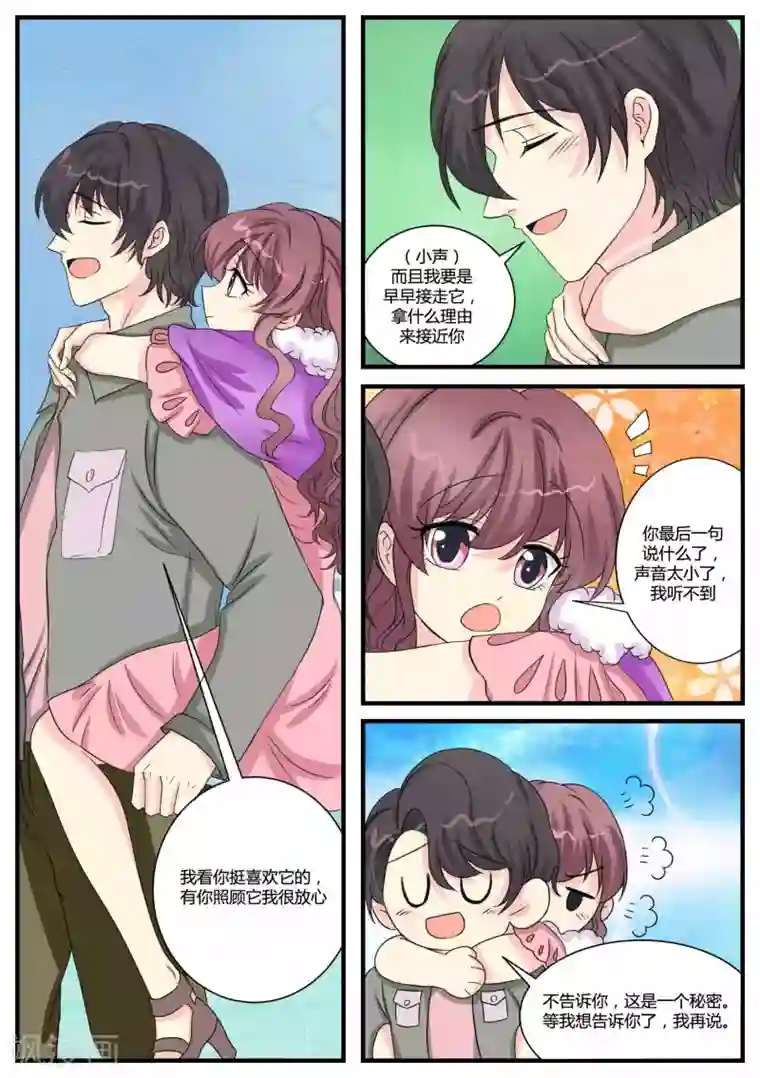 猫奴富少好缠人第36话