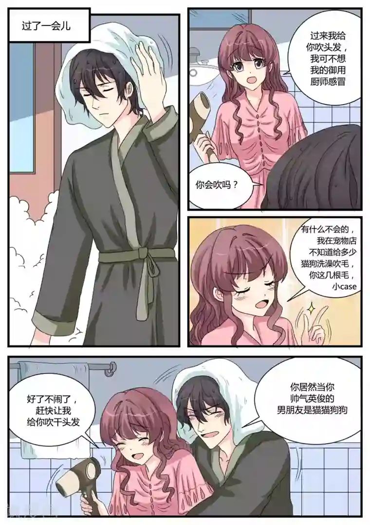 猫奴富少好缠人第37话