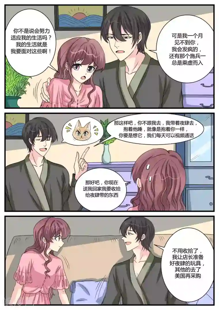 猫奴富少好缠人第37话