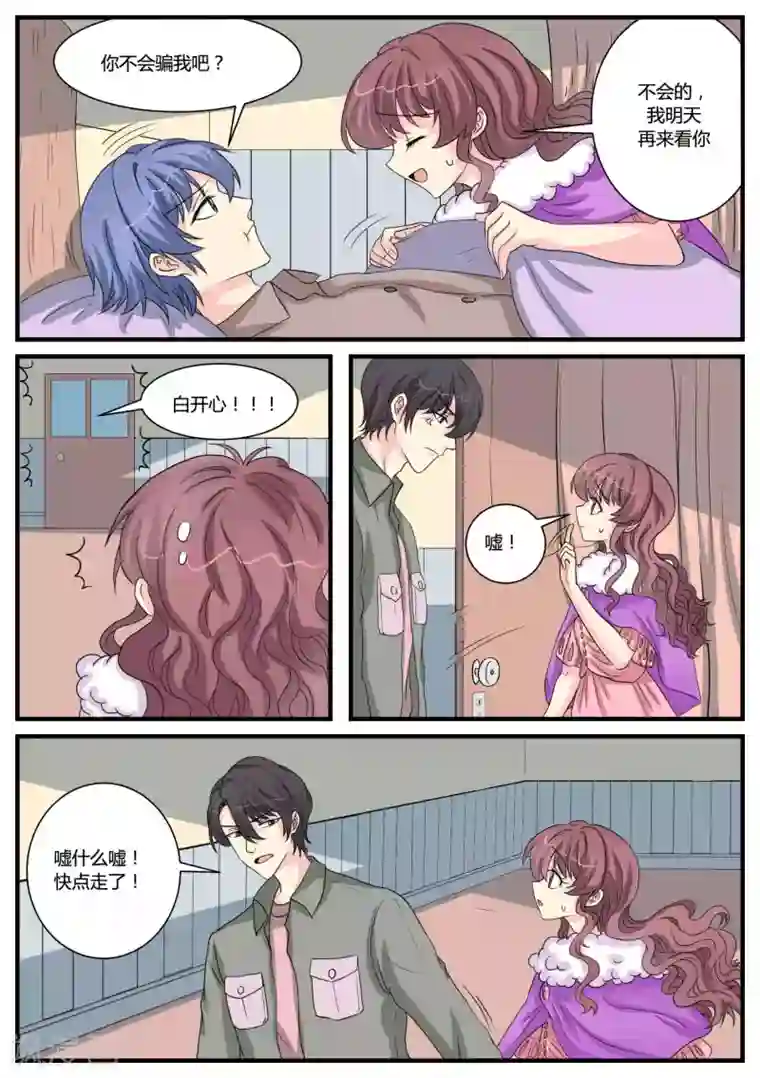 猫奴富少好缠人第37话