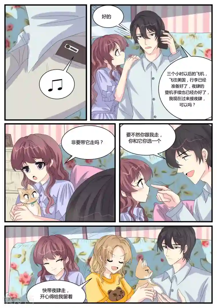 猫奴富少好缠人第38话