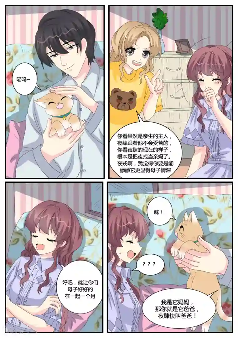 猫奴富少好缠人第38话