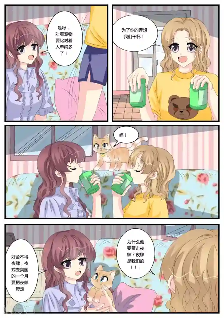 猫奴富少好缠人第38话