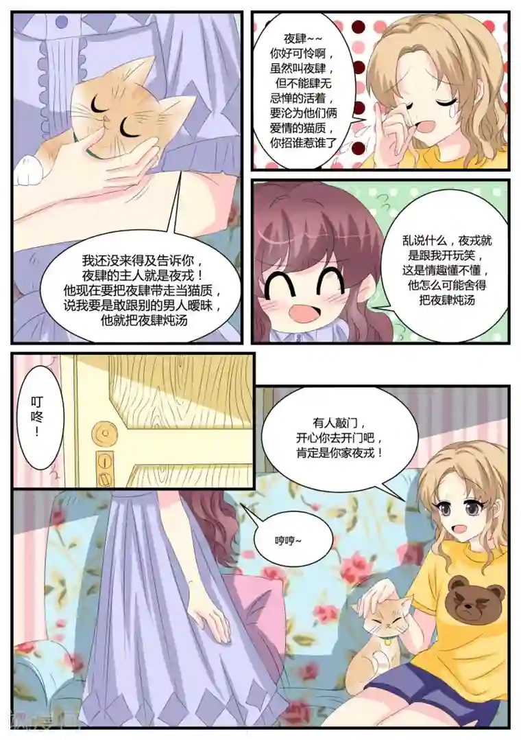 猫奴富少好缠人第38话