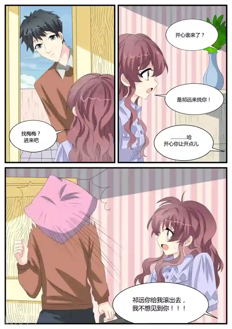 猫奴富少好缠人第38话