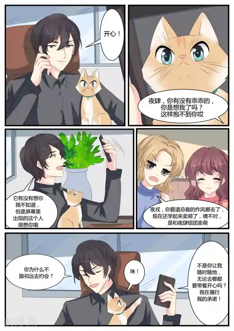猫奴富少好缠人第39话