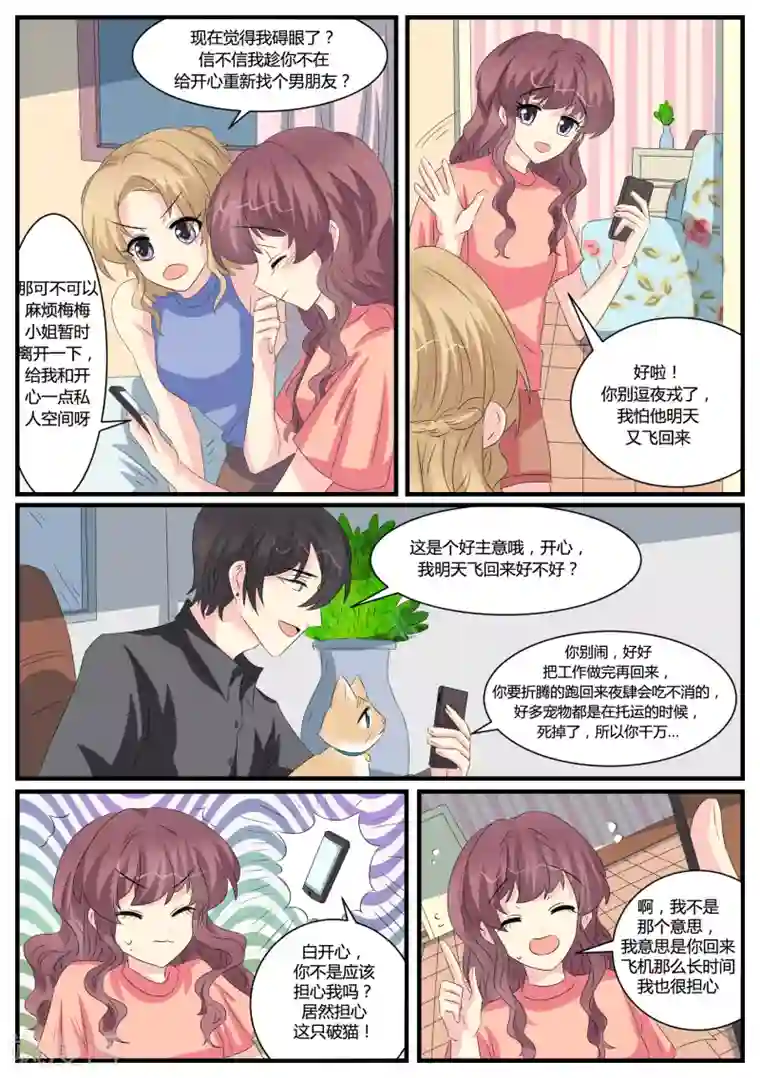 猫奴富少好缠人第39话