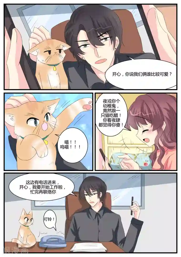 猫奴富少好缠人第39话